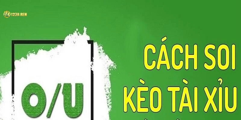 Cách đọc kèo tài xỉu chuẩn xác và dễ hiểu nhất