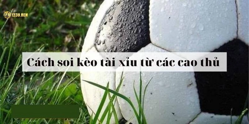 Bí Quyết Đọc Kèo Tài Xỉu Giúp Bạn Giành Thắng Lợi Dễ Dàng